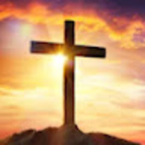 Meet your Posher, Annelise